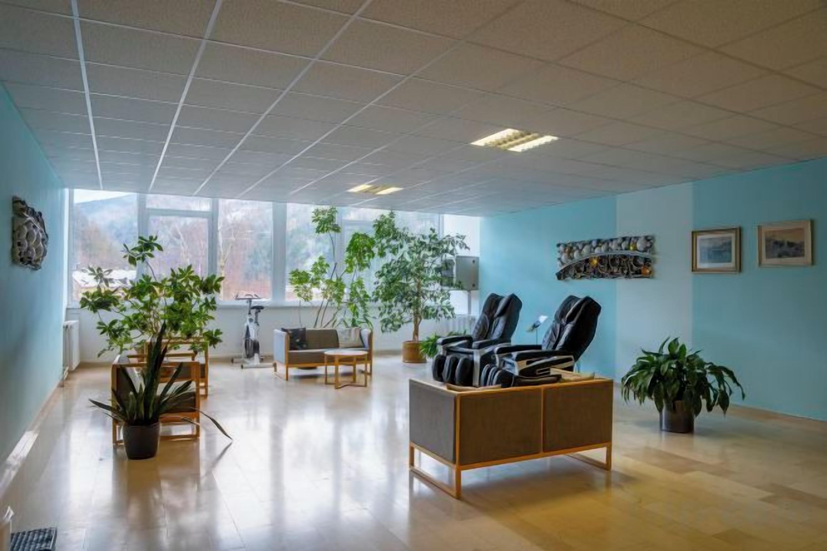 A spacious room with a wooden floor, a desk with a chair, a sofa, and several potted plants.