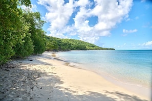 Ein Strand mit klarem Wasser, sandigem Ufer und üppigem Grün.