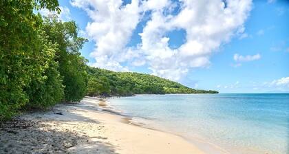 Maison Alizés - Spacious 2-room apartment facing the sea, large terrace, sleeps 6