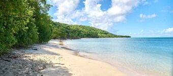 Maison Alizés - Spacious 2-room apartment facing the sea, large terrace, sleeps 6