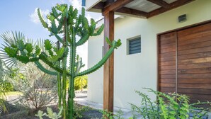 Ein Kaktusgarten mit einer Holztür zur Garage und einem weißen Gebäude.