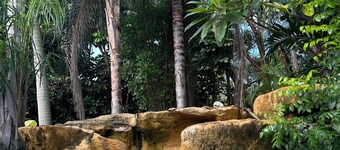 Palms, Pool and Waterfall-your perfect Miami vacation home 