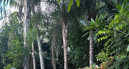 Welcoming 4-bedroom house with AC in Palmetto Bay