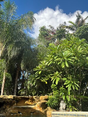 Property grounds - Welcoming 4-bedroom house with AC in Palmetto Bay (Palmetto Bay)