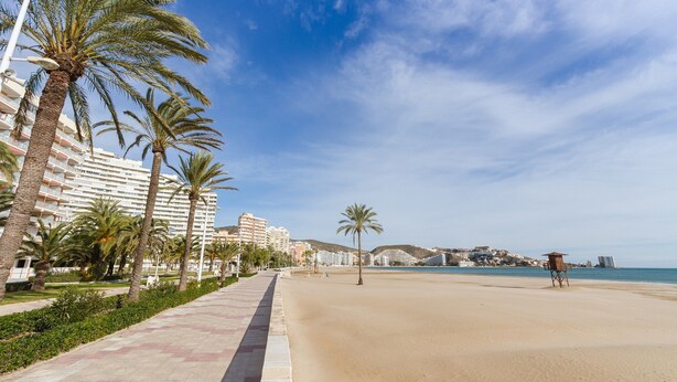 Een strand met palmbomen, een redershut en een hotel op de achtergrond.