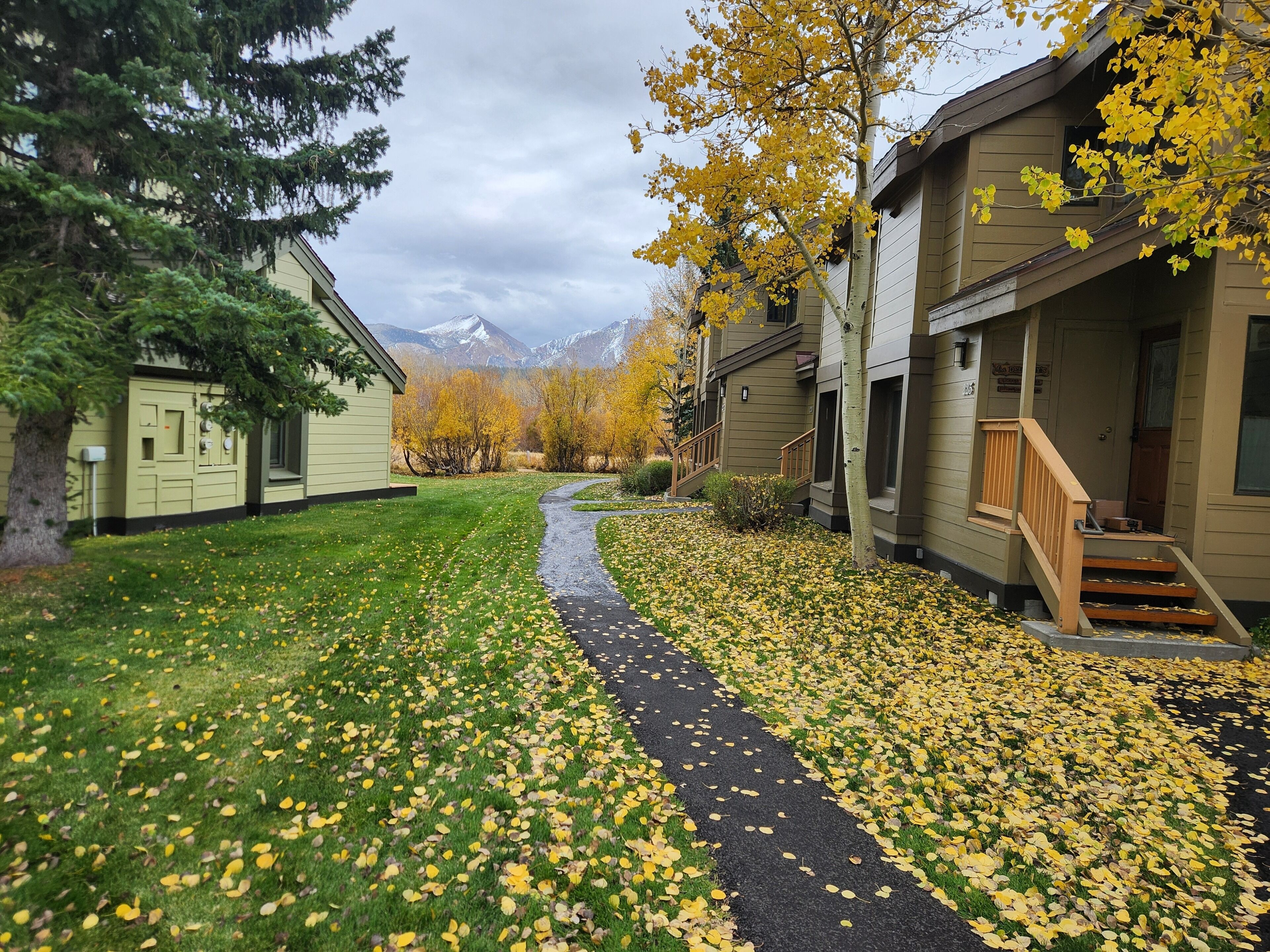 A pathway lined with yellow leaves, leading to a building with a porch and a mountain backdrop.