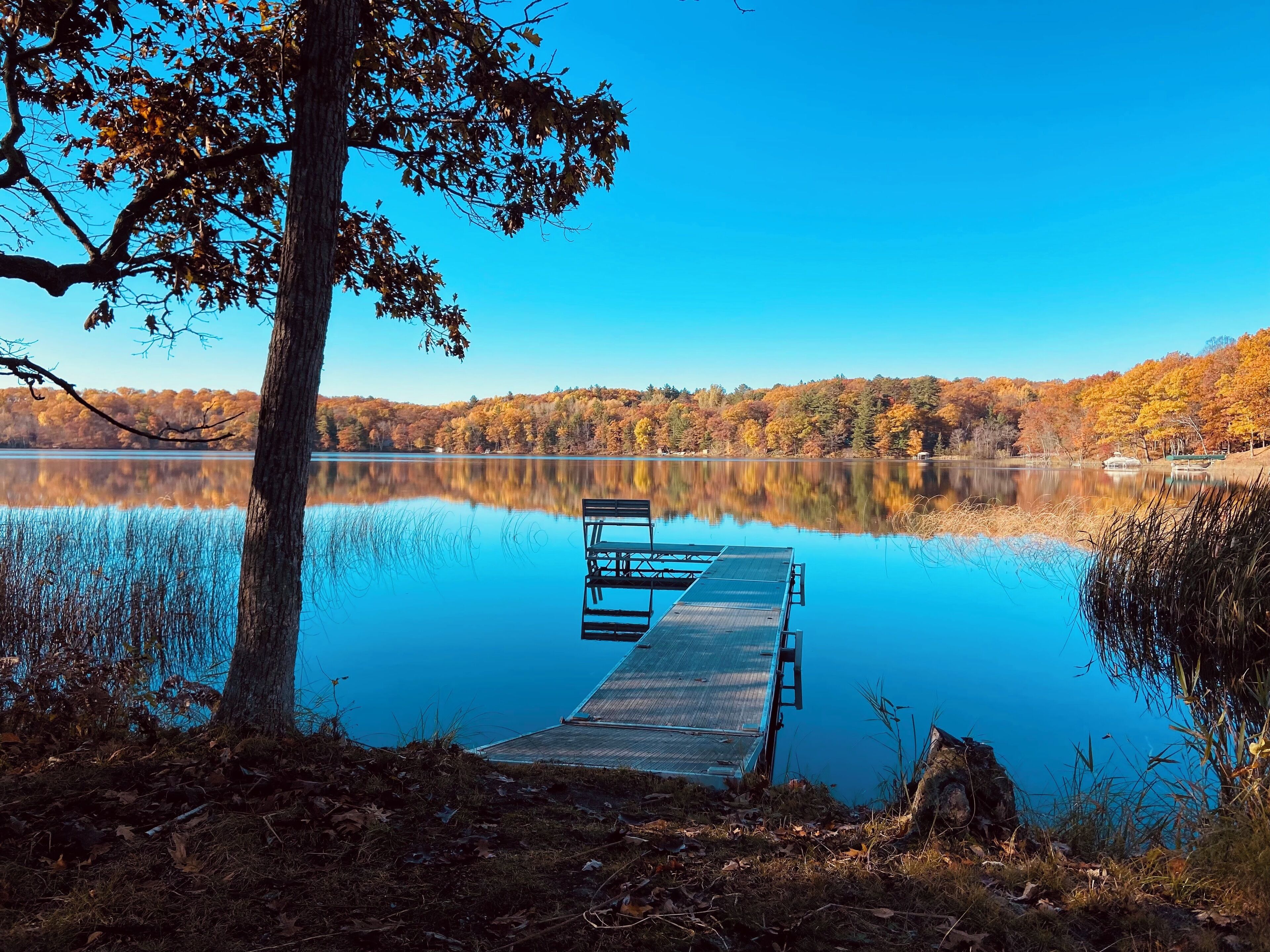 A dock extending into a calm lake surrounded by autumn foliage.