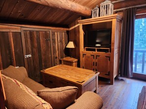 Smart TV, fireplace, books