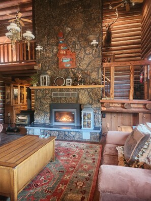 Smart TV, chimenea y libros 