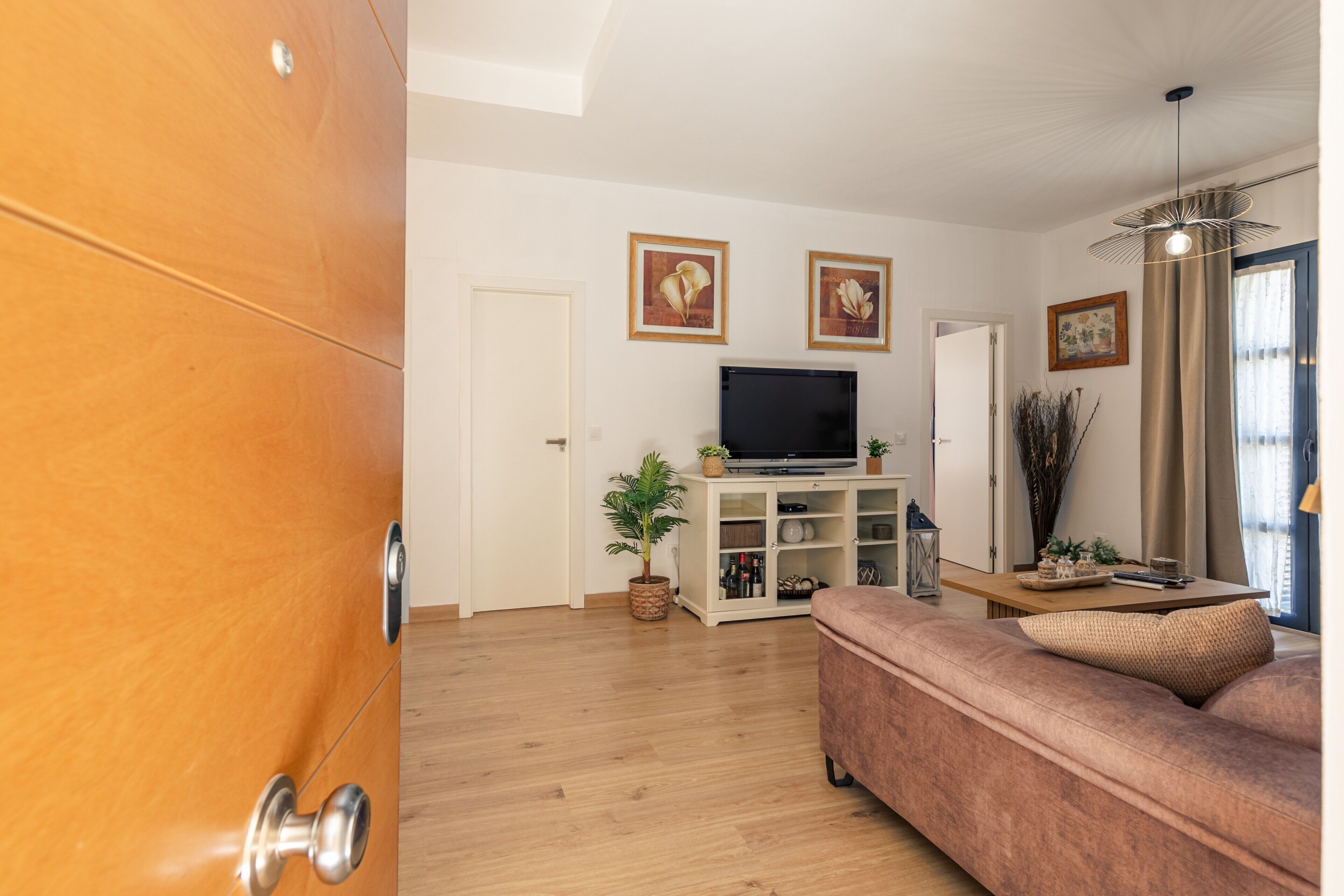 Un salon avec un canapé, un téléviseur, un meuble en bois et une porte.