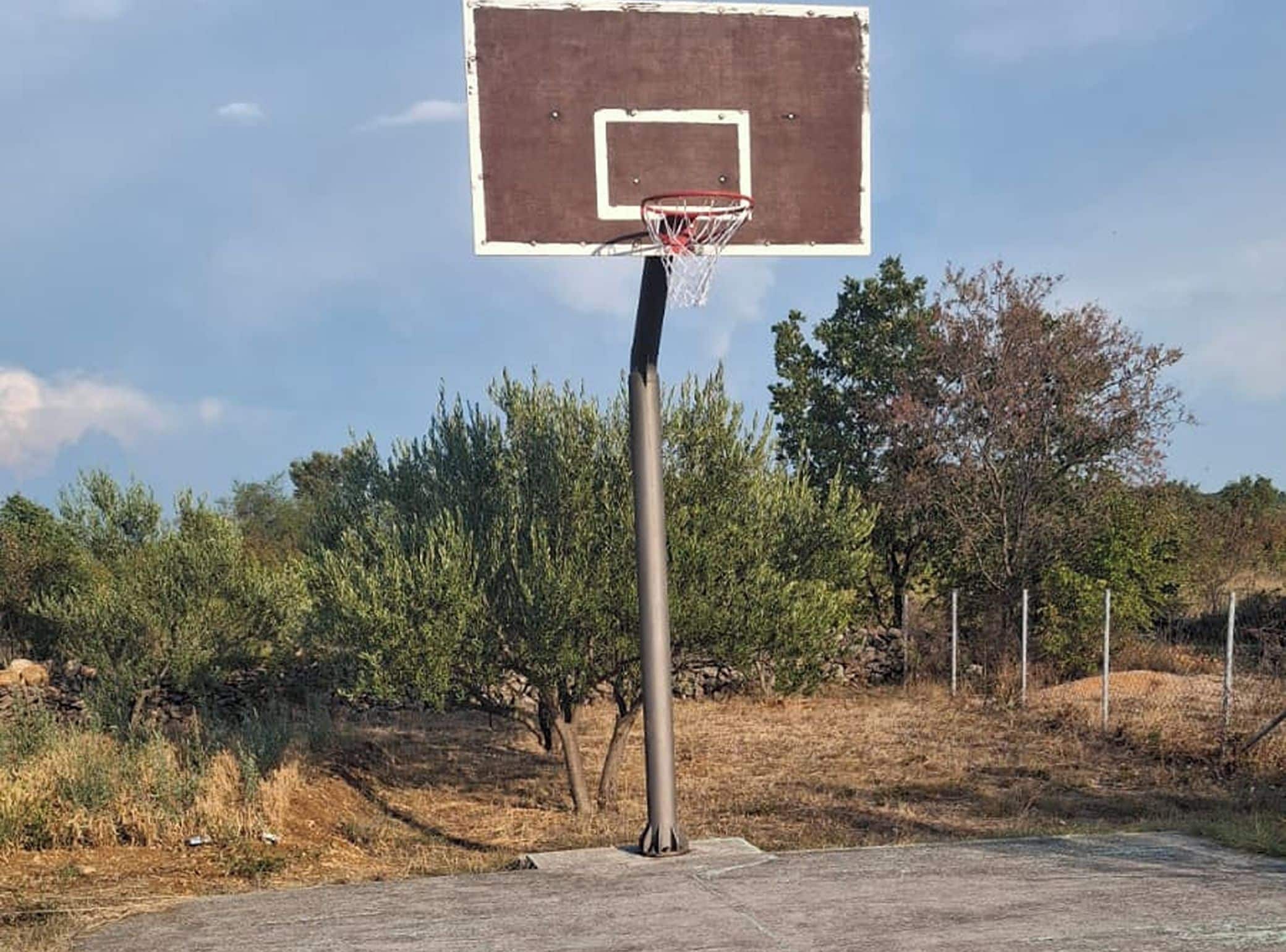 A basketball hoop with a metal pole, set against a backdrop of trees and dry grass.