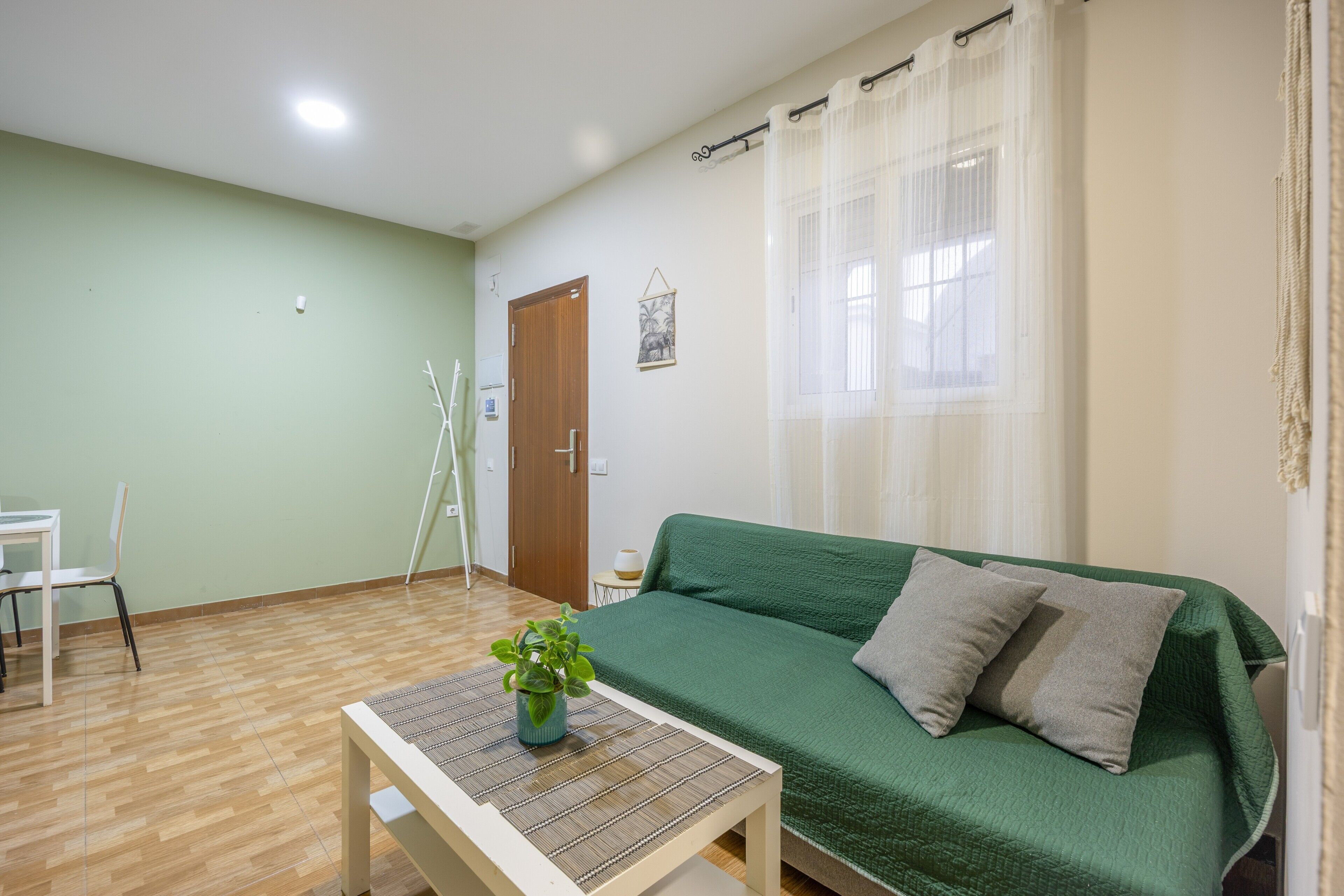 A room with a green sofa, a small table with a plant, a white chair, and a door.