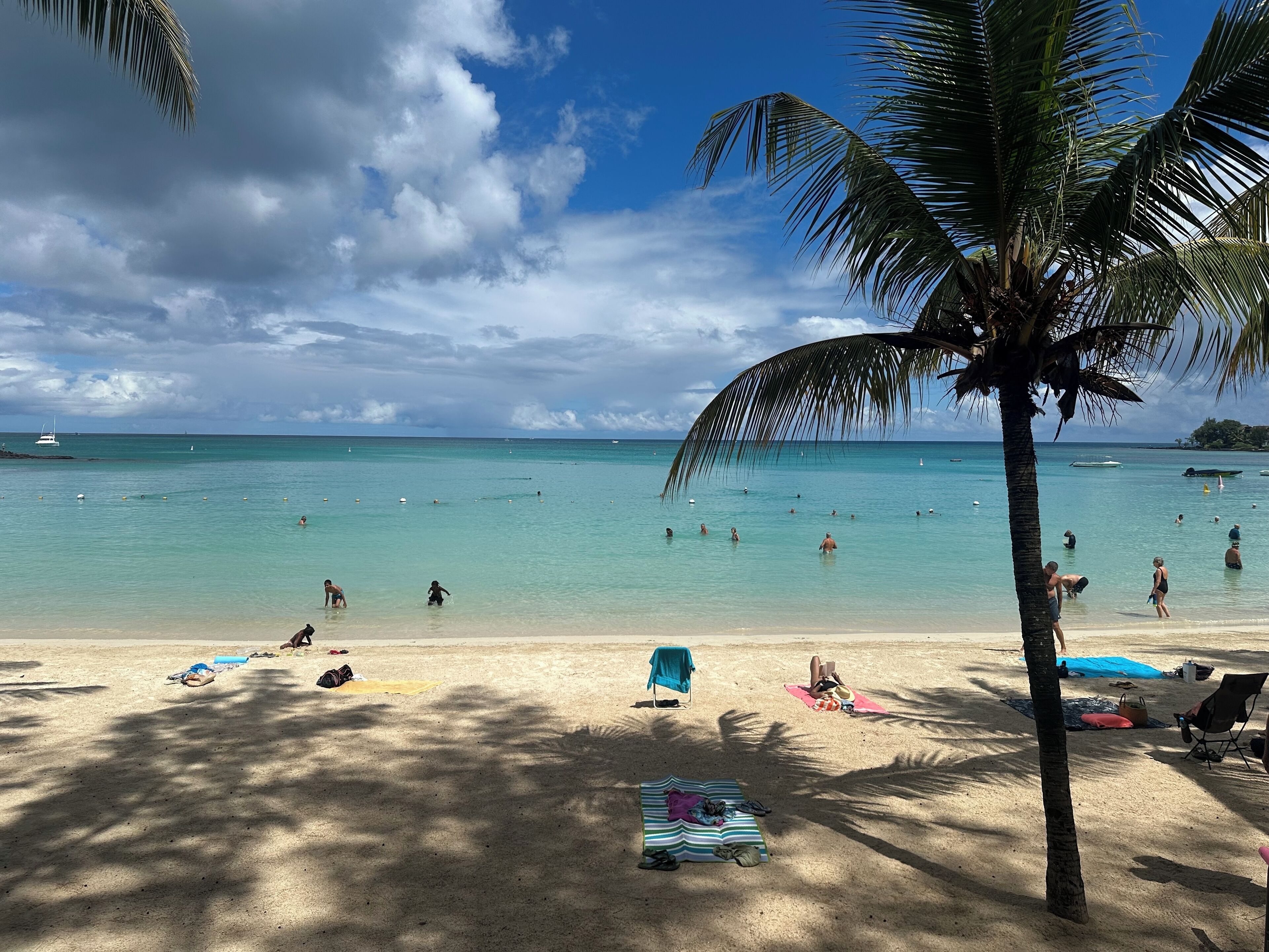 بالقرب من الشاطئ، كراسي للتشمس