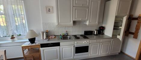 Fridge, oven, stovetop, dishwasher