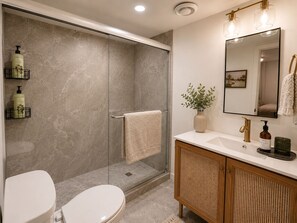 Shower, hair dryer, towels, soap