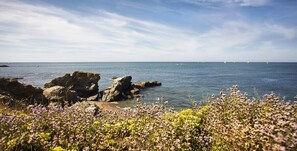 A coastal landscape with rocky outcrops and a clear view of the sea. - Appartement 143 Résidence Bora Bora (Saint-Hilaire-de-Riez)