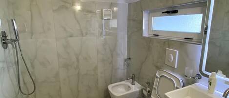 A modern bathroom with a shower, bidet, and a large mirror.