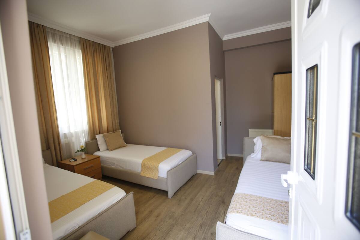 Deluxe Triple Room, City View | Soundproofing, iron/ironing board, free WiFi