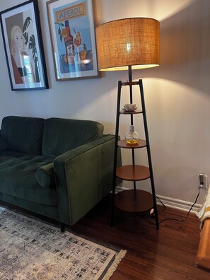 Smart TV, fireplace, books, video library