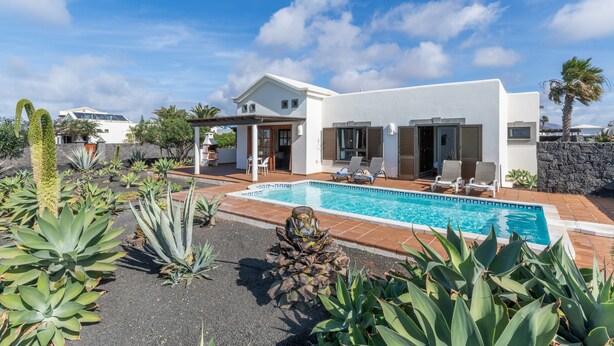 Ein modernes Haus mit Swimmingpool, umgeben von unterschiedlichen Pflanzen und blauem Himmel.