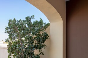 Detall de l'exterior