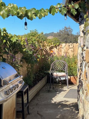 テラス / パティオ