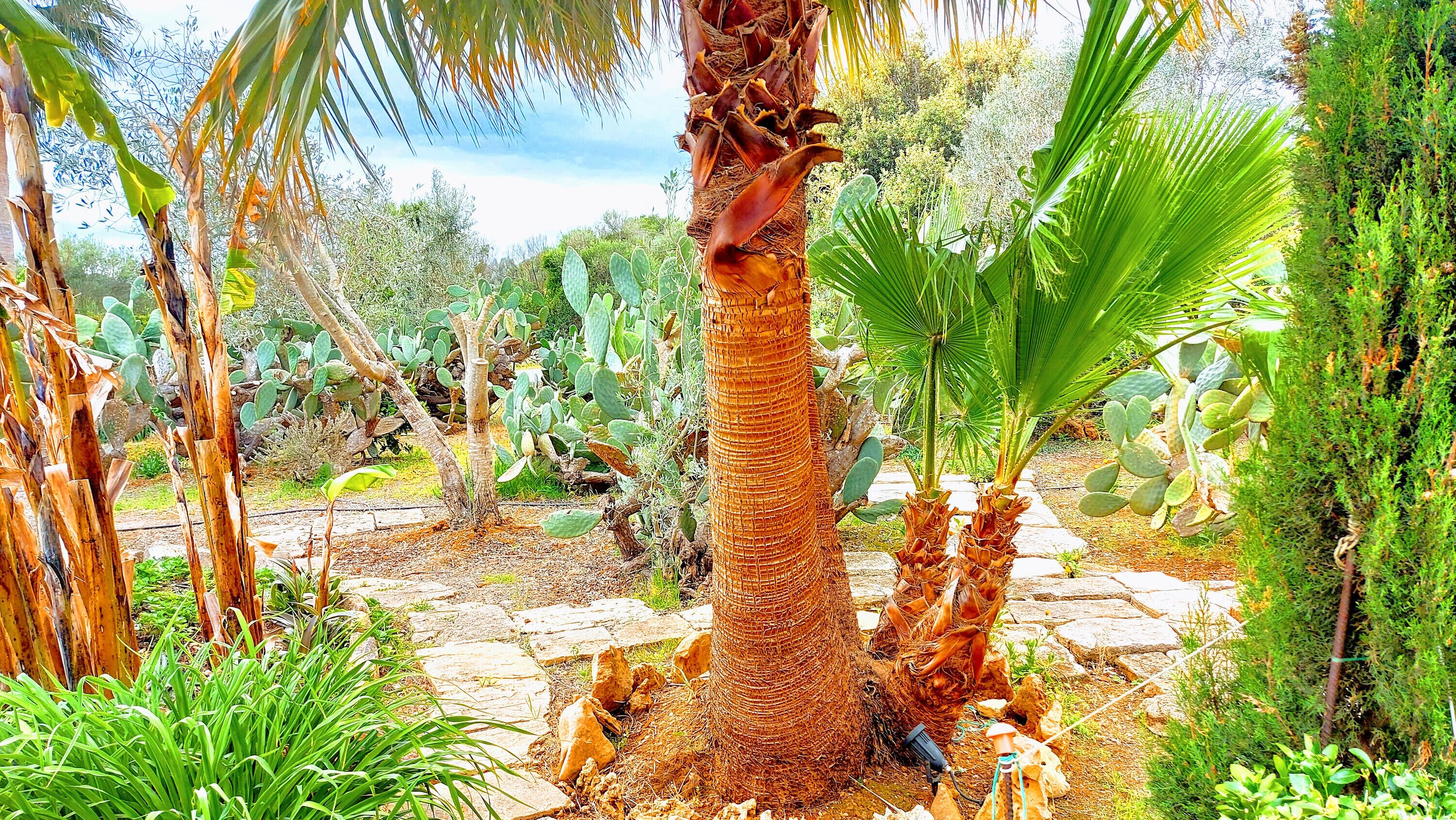 Overnattingsstedets uteområder