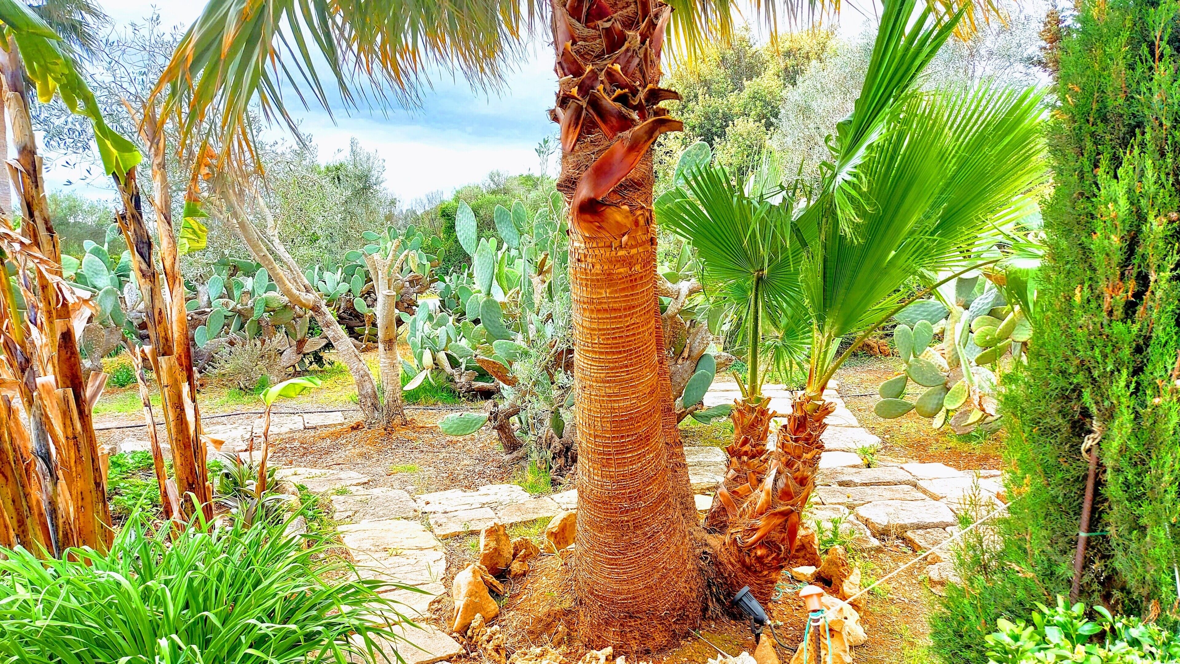 Áreas de la propiedad