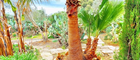 Áreas de la propiedad