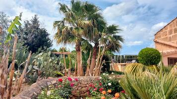 Terrein van de accommodatie