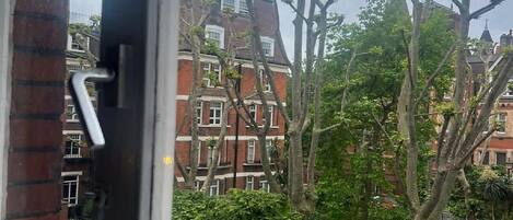 公寓 | 1 多间卧室