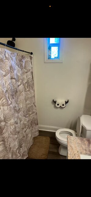 Suihku, hiustenkuivaaja