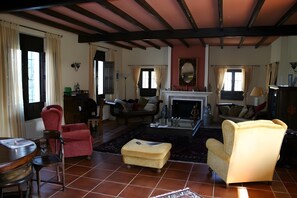 TV, fireplace