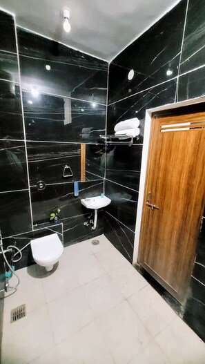 Shower, hair dryer, bidet, towels