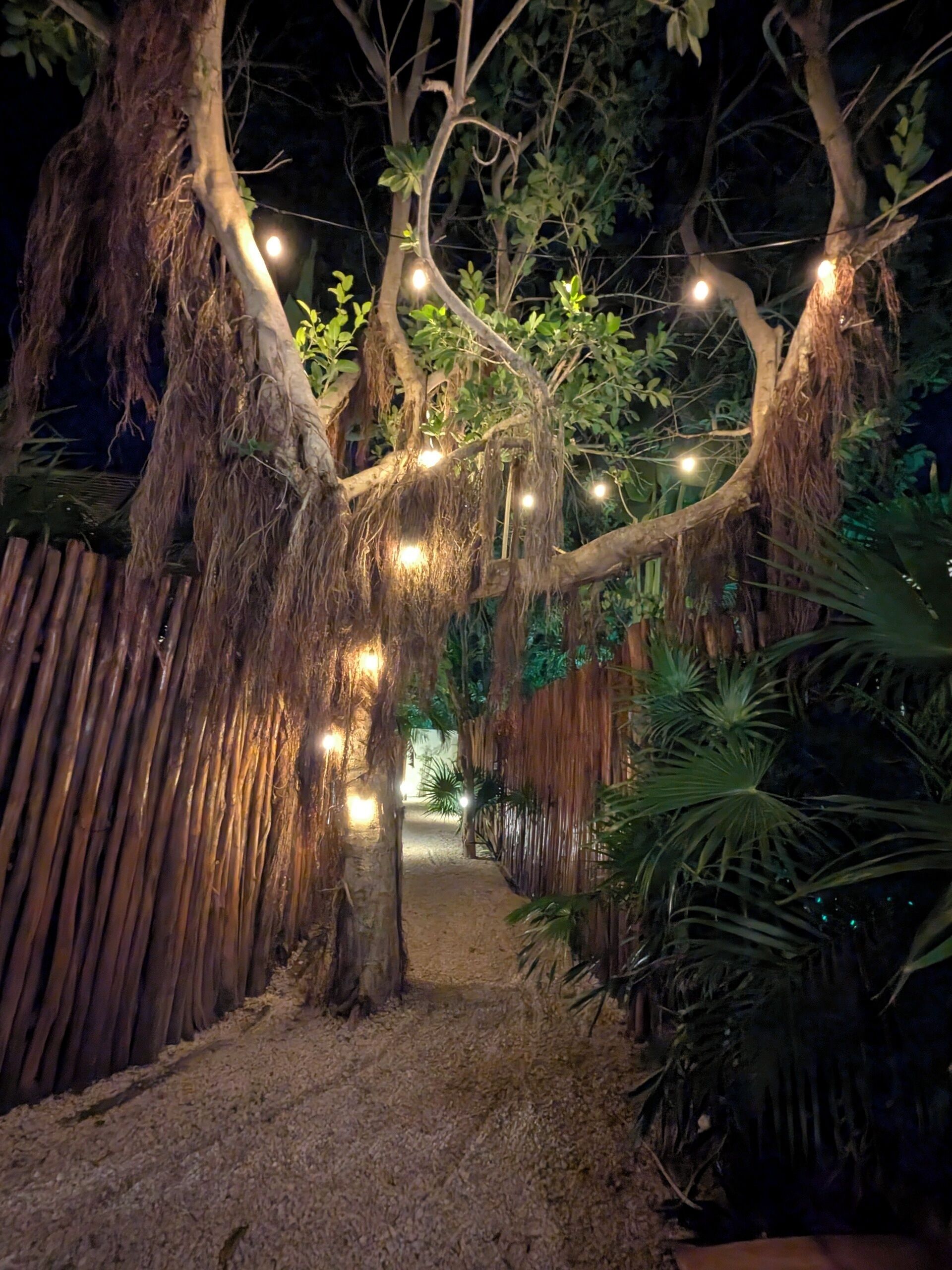 Overnatningsstedets område