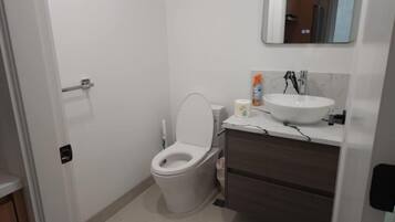Shower, hair dryer, towels