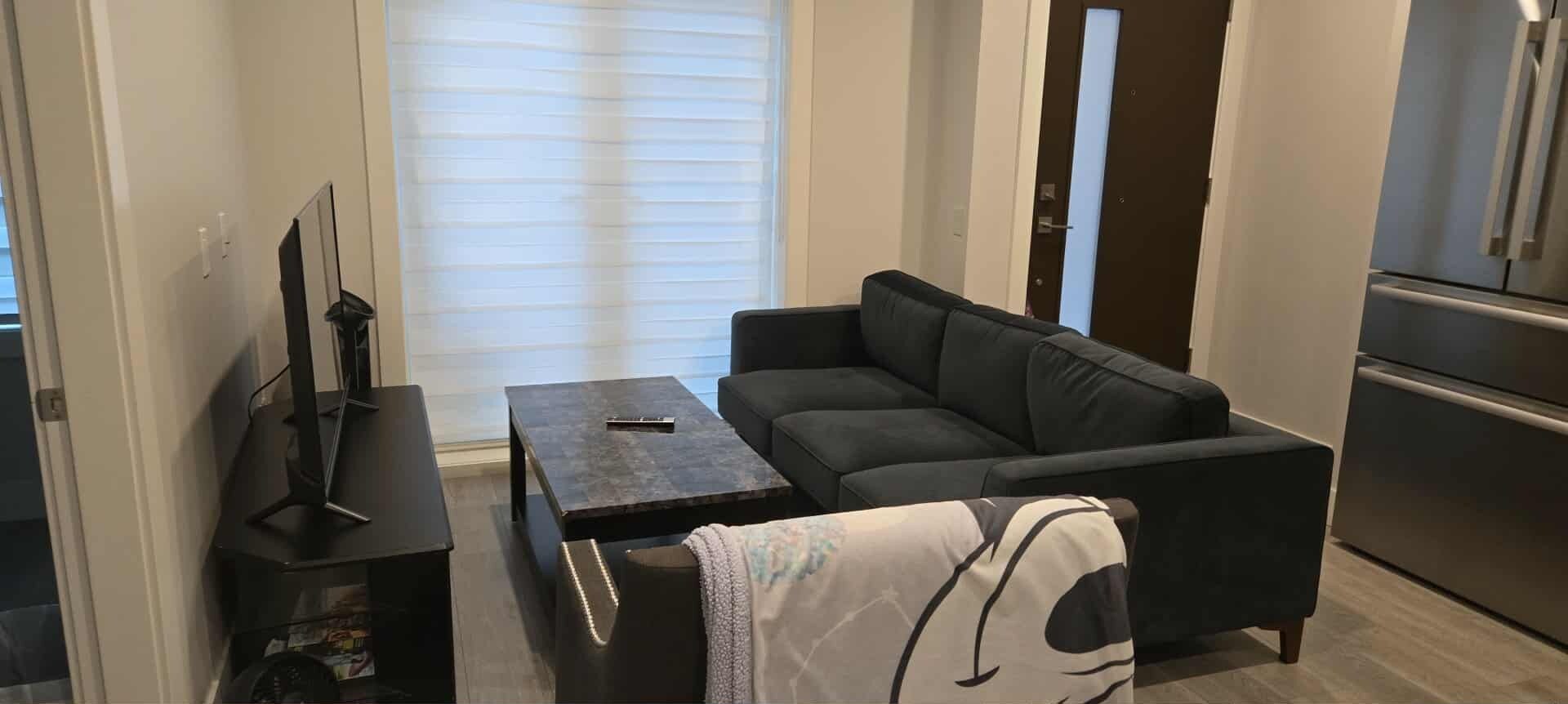 Una sala de estar moderna con un sofá, una mesa de centro y un televisor.
