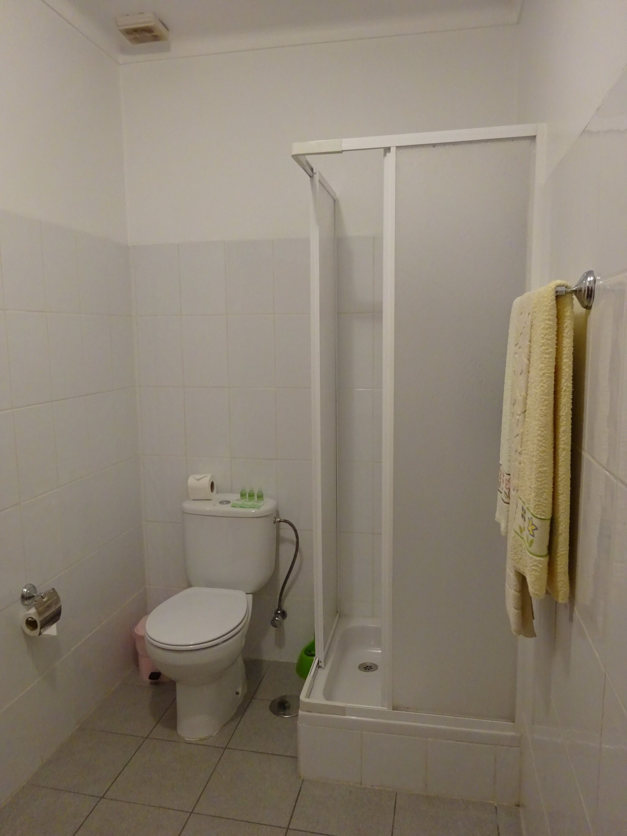 Un baño con inodoro, ducha y toallero.
