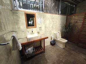 Shower, towels, soap, toilet paper