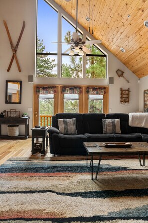 Télévision, cheminée, baby-foot, table de tennis de table