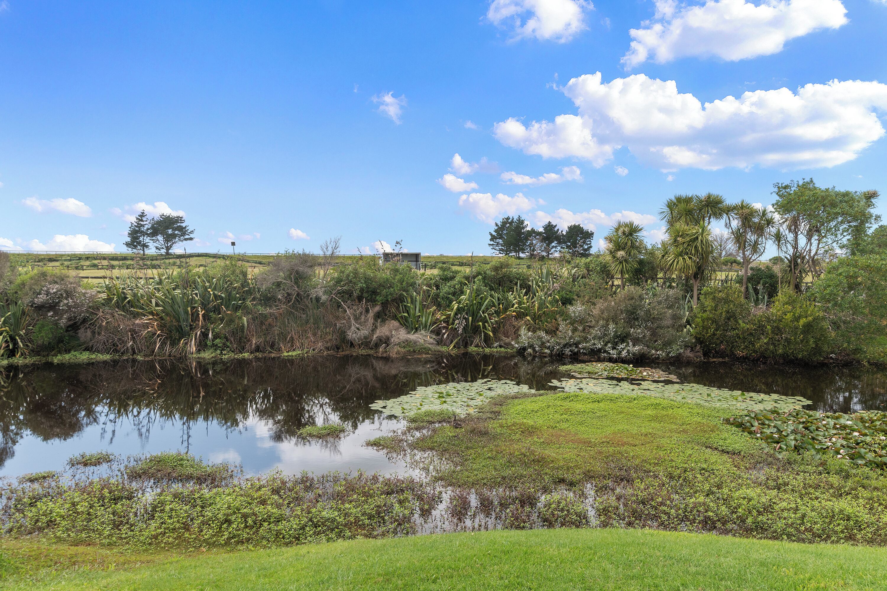 المنطقة المحيطة بالمنشأة