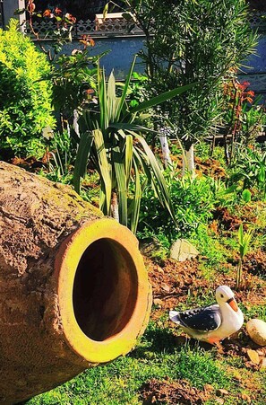 Àrea exterior de l'allotjament