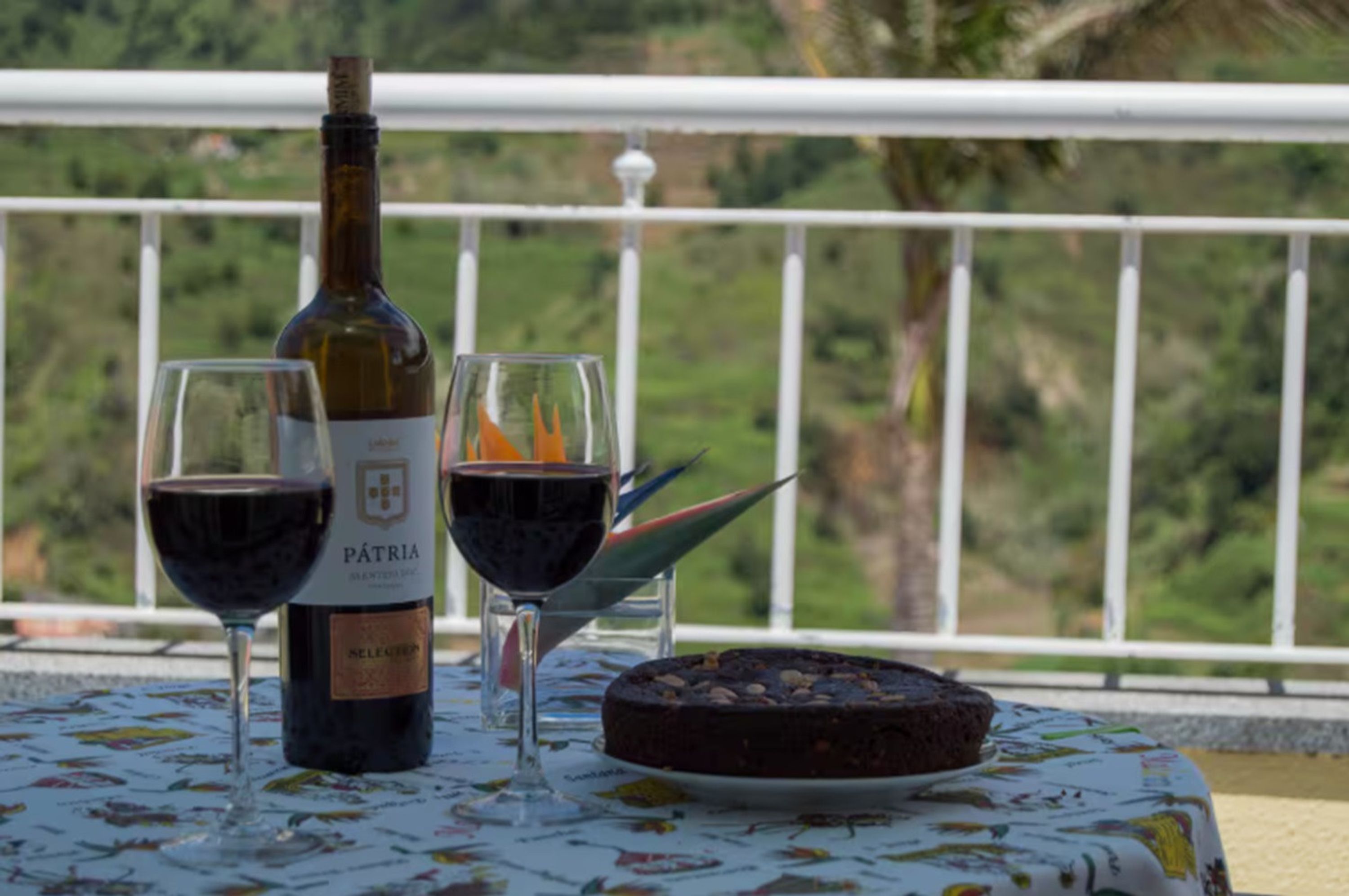 A table with a bottle of wine, two glasses of red wine, and a chocolate cake on a tablecloth with a view of greenery in the background.