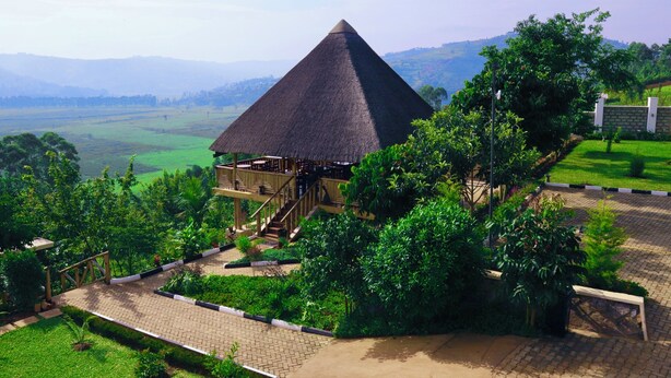 A thatched-roof structure with a wooden deck, surrounded by lush greenery and a paved walkway. - Bird Hill Resort Ug (Kabale)