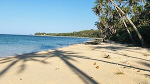 Une plage bordée de palmiers, sous un ciel bleu et dégagé.