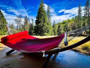 Property grounds - Bigfoot Suite - Dog Friendly - Sleeps 4 (North Fork)