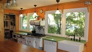 A kitchen with a stove, sink, and wooden cabinets. There are windows with views of trees. - Charming 1-bedroom "glamping" cottage in peaceful Chapin [see description below] (Chapin)