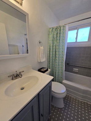 Hair dryer, towels, soap, toilet paper