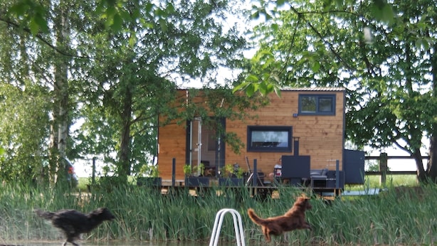 A rustic cabin with a dock extending into a pond, surrounded by tall grass and trees. - Architektenwohnung mit Privatsauna (Großharthau)
