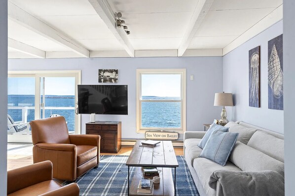 Smart TV, DVD player, books, video library